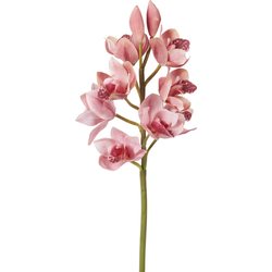 Roze kunstcymbidium orchideestam H62