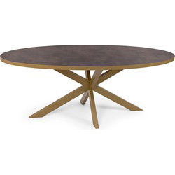 Stalux Ovale eettafel 'Mees' 240 x 110cm, kleur goud / lederlook bruin