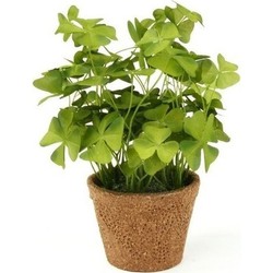 Groene kunstplant klaverzuring plant in pot 25 cm - Kunstplanten