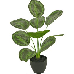 Greenmoods Kunst Calathea - Nep plant - 1 Stuk - 48cm - Zwart