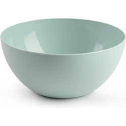 Plasticforte kommetjes/schaaltjes - dessert/ontbijt - kunststof - D17 x H8 cm - mintgroen - Kommetjes