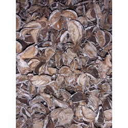 Cotton pods white wash 1 schep