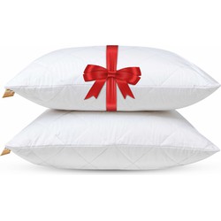 Cool Cotton Hoofdkussens - Set van 2 stuks - Extra verkoelend kussen - Medium - 60x70cm