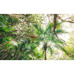 Sanders & Sanders fotobehang jungle groen - 450 x 280 cm - 612706