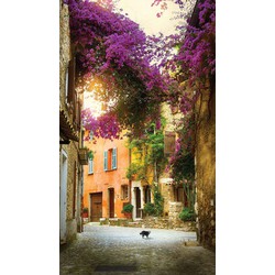 Bougainville poes 70x130cm Tuinschilderij