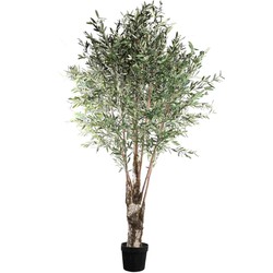 PTMD Bloempot Tree - 140x140x265 cm - Plastic - Groen