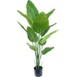 Kunstplant Strelitzia Royal 150 cm | NeverLeafs