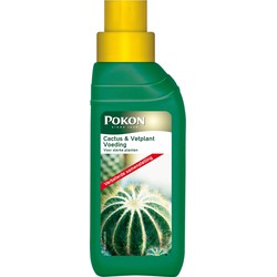 2 stuks - Cactus & Vetplant 250ml