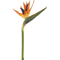 Kunstbloem Strelitzia 80 cm rood/paars