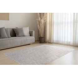 Pandora Soft - Uni Effen Vloerkleed - Laagpolig, 100% Polyester, Soft Touch, Franjes - Zilver Grijs- 160x230 CM