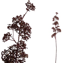 PTMD Leaves Plant Viburnum Kunsttak - 44 x 16 x 87 cm - Wijnrood