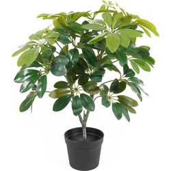 Artificial Plant Shefflera