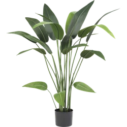 Hoyz Greenery - Kunstplant Heliconia 120 cm