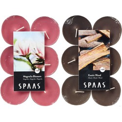 Candles by Spaas geurkaarsen - 24x stuks in 2 geuren Magnolia Blossom en Exotic wood - geurkaarsen