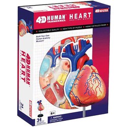 Educatief Speelgoed Anatomie model hart – 4D educatieve puzzel