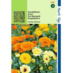 2 stuks - Calendula Officinalis Fiesta Gitana Gemengd