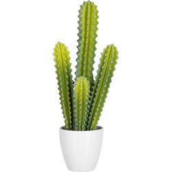 J-line - Cactus 5delig Groen - 22x16x52.5cm