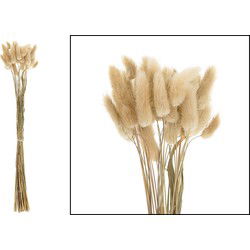 Cozy Ibiza - Droogbloem Lagurus natural 2 bundels