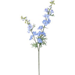 Delphinium tak l.blue