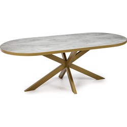 Stalux Plat ovale eettafel 'Noud' 210 x 100, kleur goud / beton