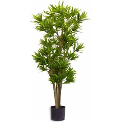 Hoyz Greenery - Kunstplant Dracena Reflexa 150 cm