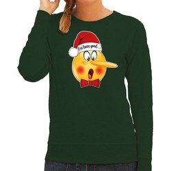 Bellatio Decorations foute kersttrui/sweater dames - Leugenaar - groen - braaf/stout S - kerst truien