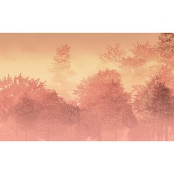 Komar fotobehang Heartwood perzik oranje roze - 400 x 250 cm - 611232