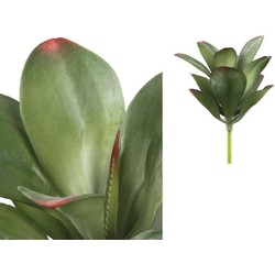 PTMD Succulent Plant Kalanchoe Prikker - 20 x 18 x 28 cm - Groen
