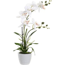 Items Orchidee bloemen kunstplant in witte bloempot - witte bloemen - H45 cm - Kunstplanten