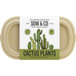 Gift Republic Cactus Planten