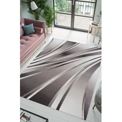 Jaden Modern Bruin vloerkleed - Laagpolig - 120 X 170 CM