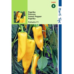 2 stuks - Paprika Palladio Hybride F1 Gele Koehoorn - Hortitops