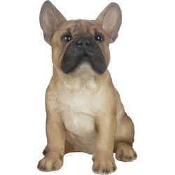 Tuinbeeld Franse Bulldog hond lichtbruin 29 cm - Tuin decoratie - Beeldjes