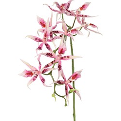 Spiderorchidee brassia roze met 9 bloemen & 2 plastic knoppen kunstbloem zijde nepbloem