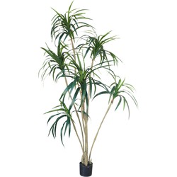 Silk-ka - Plant Yucca Groen | 213 cm