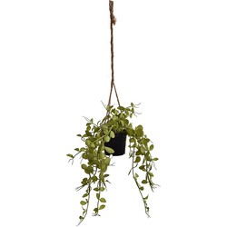 Hangplant in pot h35 cm licht groen - Jasaco