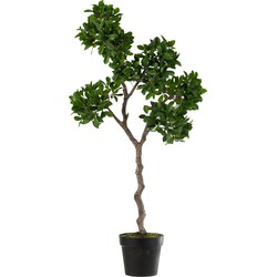 J-line - Chinese Vijg Ficus Boom In Pot Plastiek Groen/zwart Large - 45x45x128cm