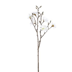 PTMD Kunstbloem Magnolia - 34x37x84 cm - Kunststof - Wit