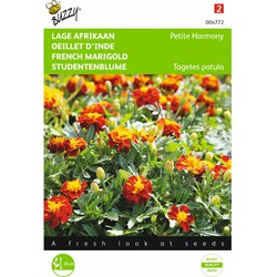 2 stuks - Tagetes patula nana Petite Harmony