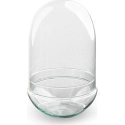URBANJNGL - Glazen bol - eivorm - gesloten terrarium 30 cm