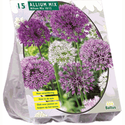 3 stuks - Allium mix Paars-Wit