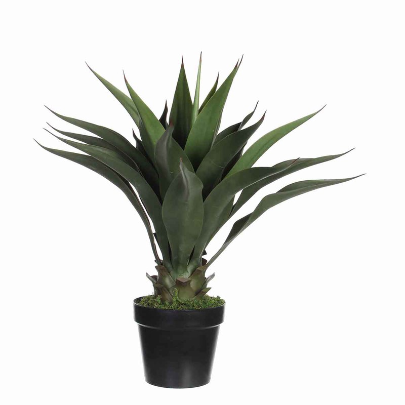 Mica Decorations agave in pot maat in cm: 60 x 25 - 