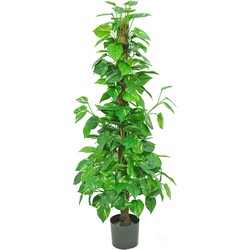 Greenmoods Kunstplant Pothos - Nep plant - 1 Stuk - 150cm  -