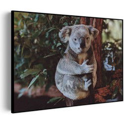 Muurwerken Akoestisch Schilderij - De Vastgelamde Koala - Geluidsdempend Wandpaneel - Wanddecoratie - Geluidsisolatie - PRO (AW 0.90) XXL (150x107)