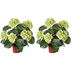 2x Hortensia kunstbloemen groen/roze 36 cm - Kunstplanten
