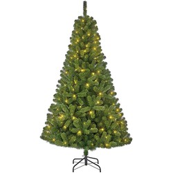 Black Box Charlton kunstkerstboom - 180 warmwitte led - 215x127