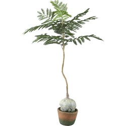 PTMD Kunstplant Jacaranda - 43x45x99 cm - Polyester - Groen