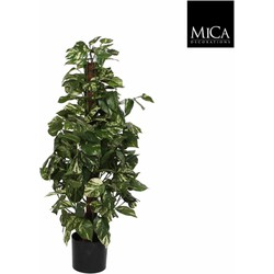 Mica Decorations scindapsus maat in cm: 100 x 45 in plastic pot