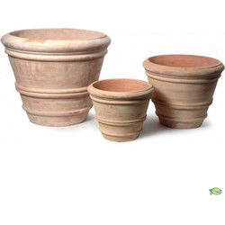 3 stuks - 