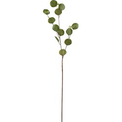 Tak | Kunststof | Groen | 13x5x (h)68 Cm